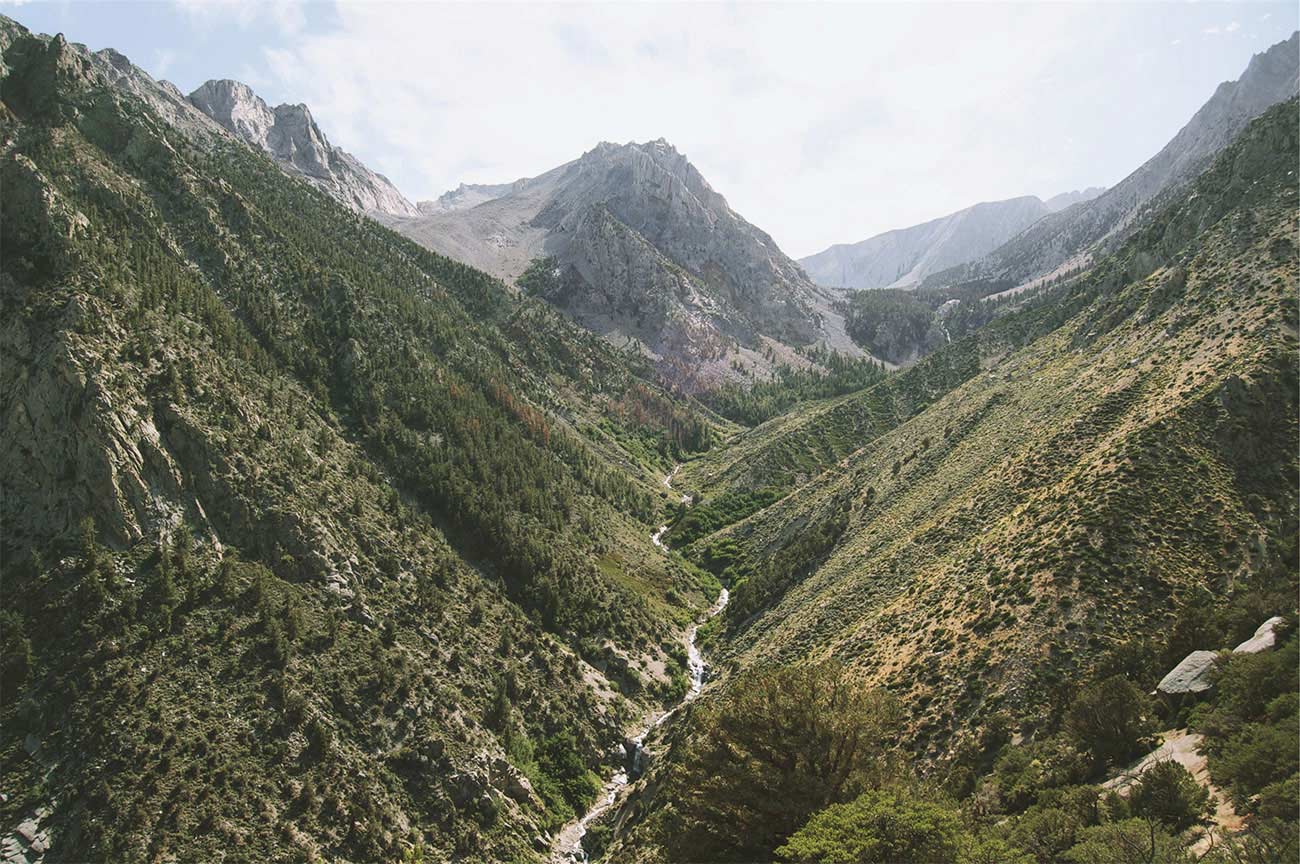 Green valley