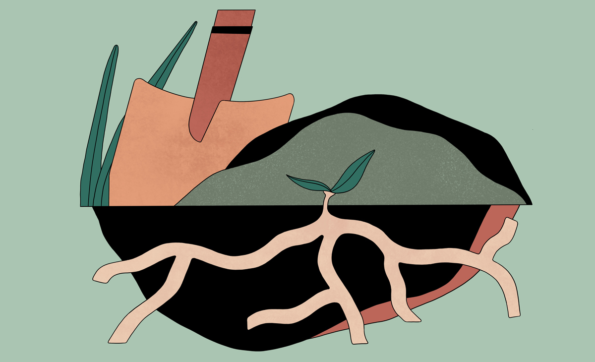 Illustration: What is healthy soil and how to improve it
