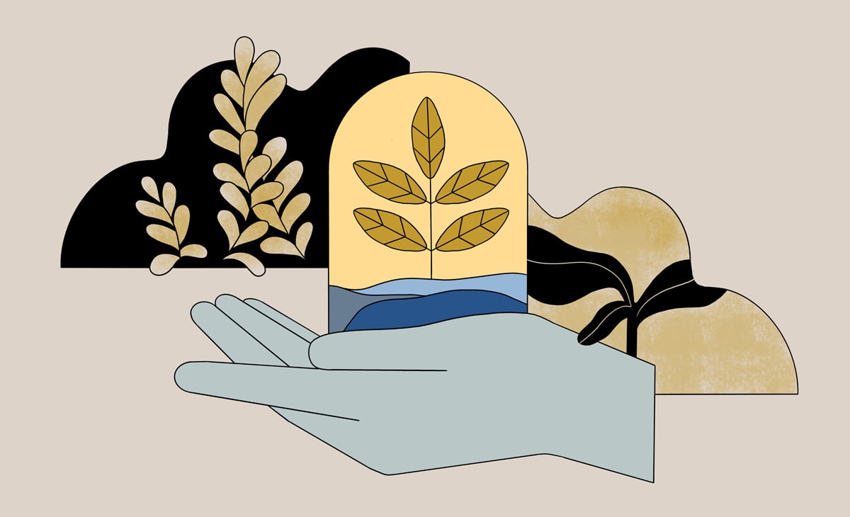 Illustration: What does regenerative agriculture actually mean?