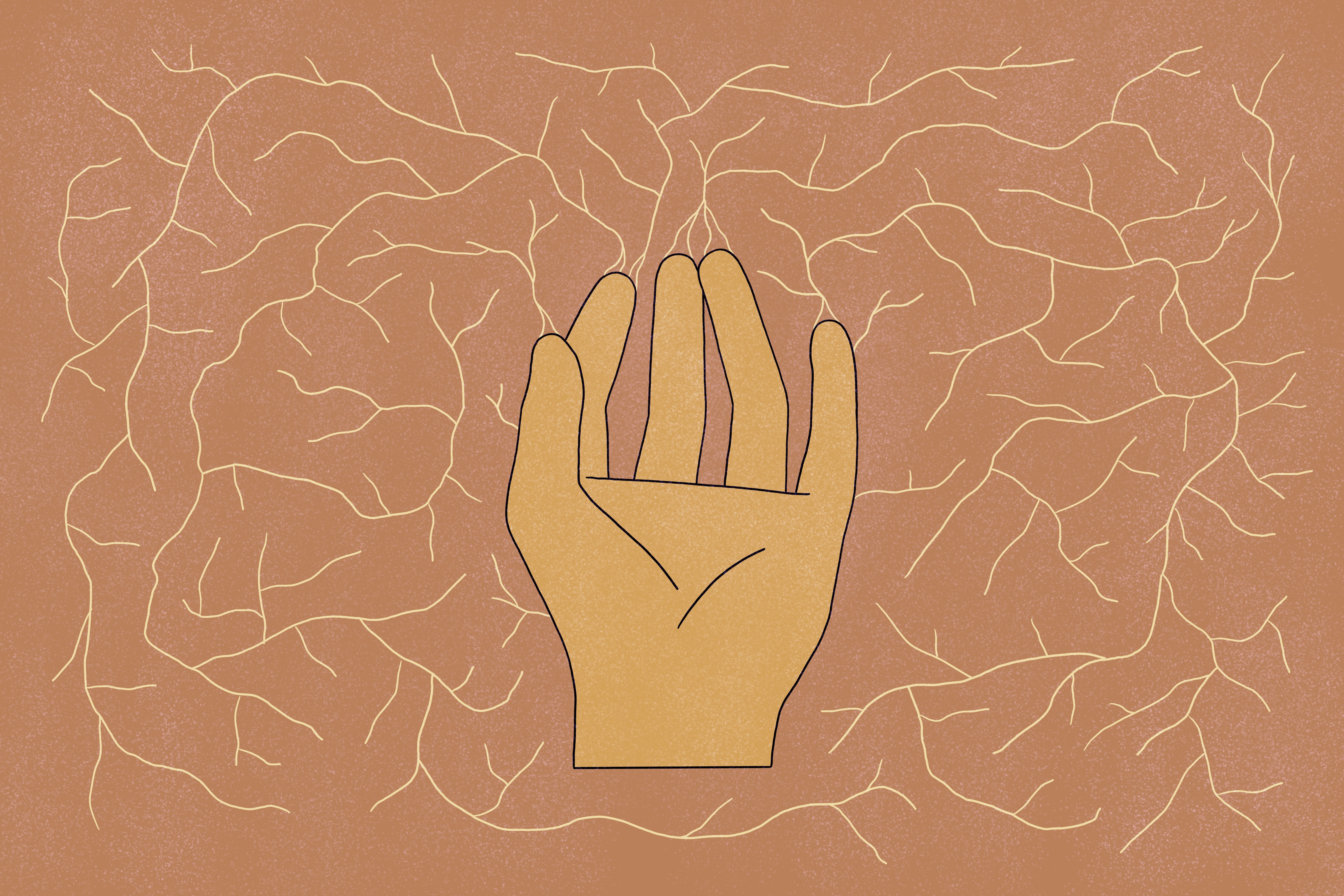 Illustration: The magic of mycelium
